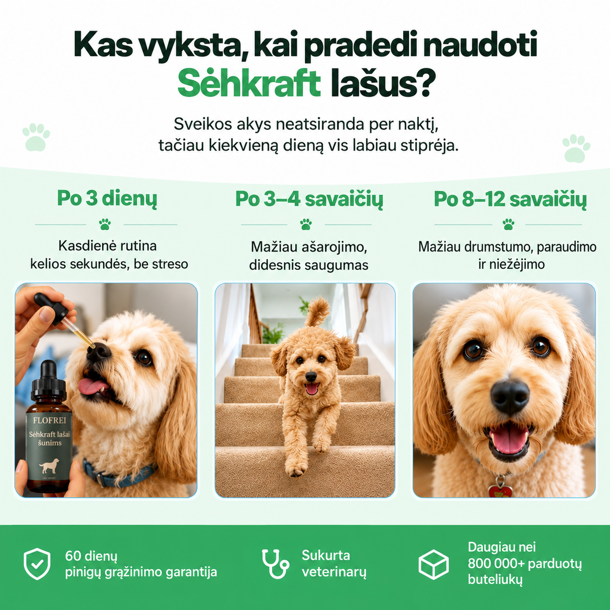 Flofrei® akių lašai šunims – kasdienė pagalba akių sveikatai