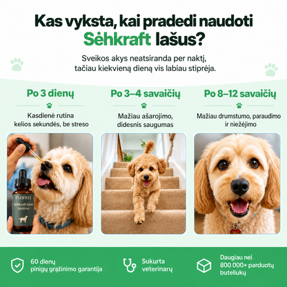 Flofrei® akių lašai šunims – kasdienė pagalba akių sveikatai