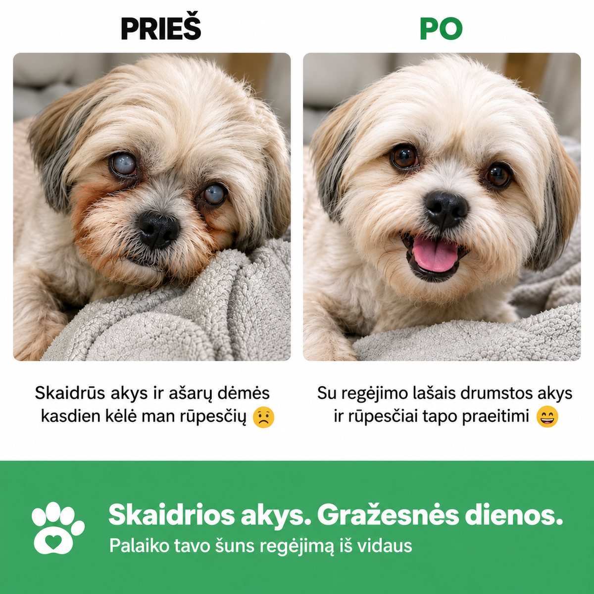 Flofrei® akių lašai šunims – kasdienė pagalba akių sveikatai