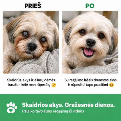 Flofrei® akių lašai šunims – kasdienė pagalba akių sveikatai