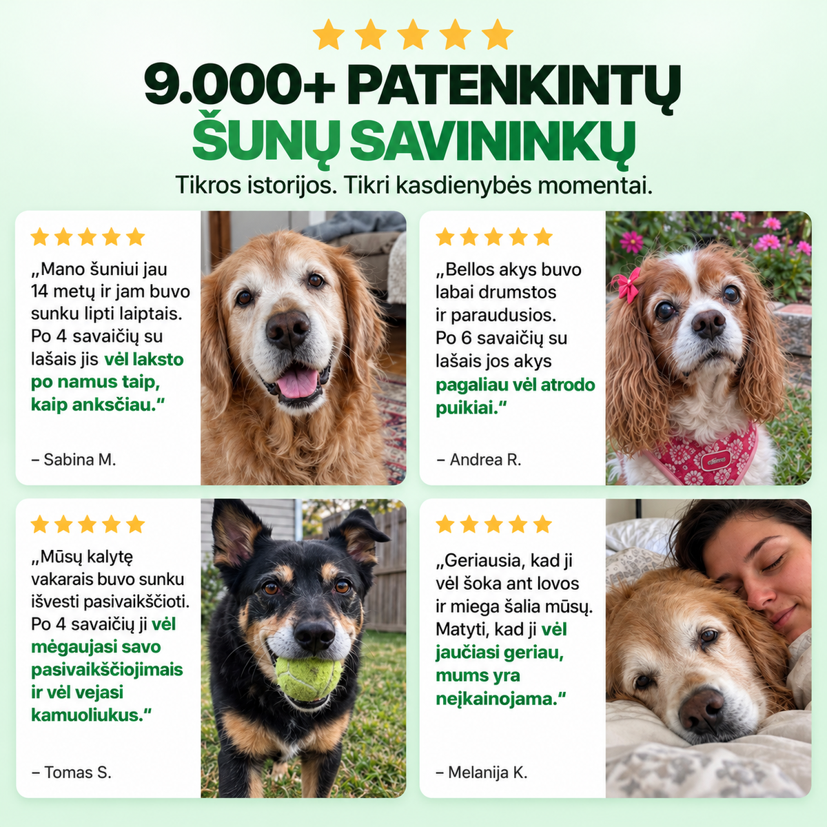 Flofrei® akių lašai šunims – kasdienė pagalba akių sveikatai