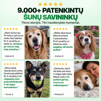 Flofrei® akių lašai šunims – kasdienė pagalba akių sveikatai